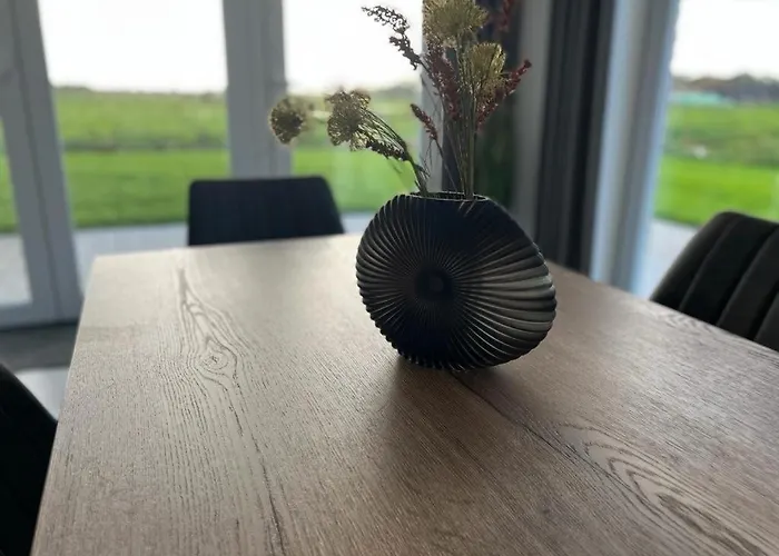 Kuh Blick * Sehestedt (Lower-Saxony)